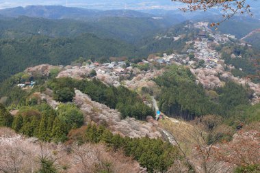 Yoshino Mikumari Tapınak, Yoshinoyama, Nara, Japonya