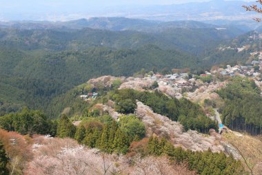 Yoshino Mikumari Tapınak, Yoshinoyama, Nara, Japonya