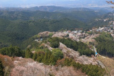  Yoshino Mikumari Tapınak, Yoshinoyama, Nara, Japonya