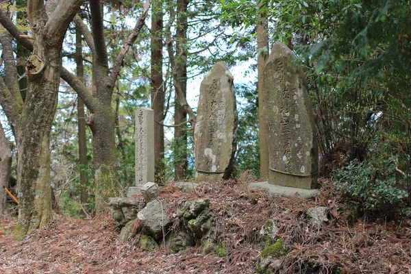 Camino recto en Nara — Foto de Stock