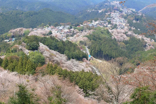 奈良県吉野水分神社の吉野山 — ストック写真