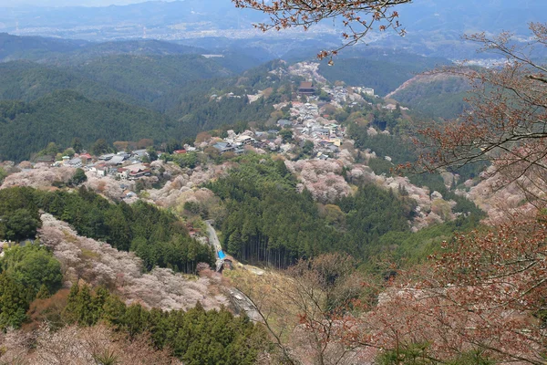 Jošino Mikumari svatyně, Yoshinoyama, Nara, Japonsko — Stock fotografie