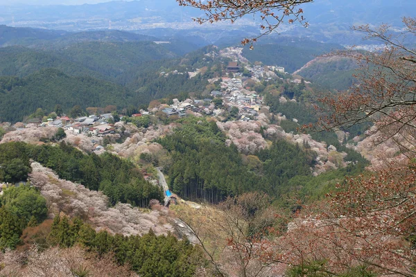 Yoshino Mikumari Tapınak, Yoshinoyama, Nara, Japonya