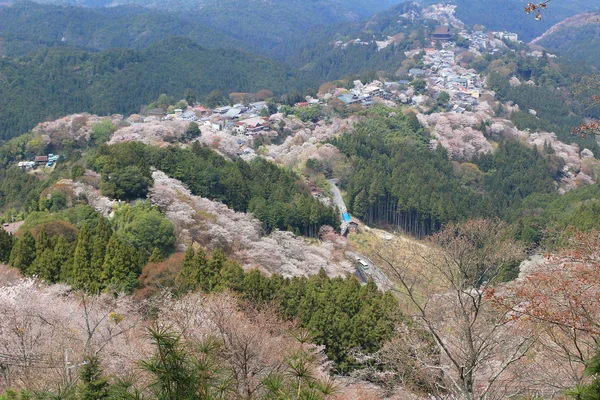 奈良県吉野水分神社の吉野山 — ストック写真