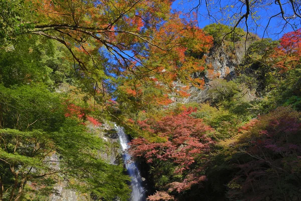 Wodospad Minoh w jesieni, Osaka, Japonia — Zdjęcie stockowe