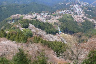 Yoshino Mikumari Tapınak, Yoshinoyama, Nara, Japonya