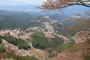 Yoshino Mikumari Tapınak, Yoshinoyama, Nara, Japonya