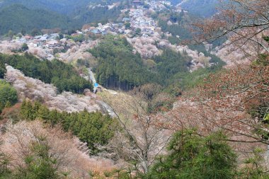 Yoshino Mikumari Tapınak, Yoshinoyama, Nara, Japonya