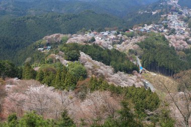 Yoshino Mikumari Tapınak, Yoshinoyama, Nara,