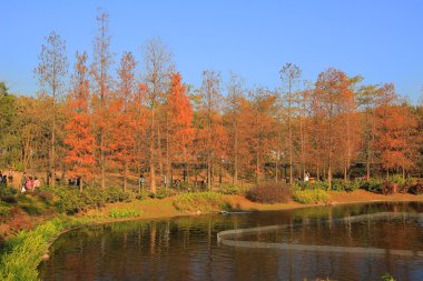  Tsing yi park