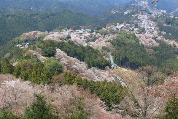 Jošino Mikumari svatyně, Yoshinoyama, Nara, Japonsko — Stock fotografie