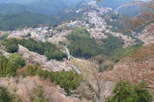 Jošino Mikumari svatyně, Yoshinoyama, Nara, Japonsko — Stock fotografie