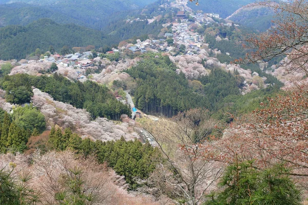 Jošino Mikumari svatyně, Yoshinoyama, Nara, Japonsko — Stock fotografie