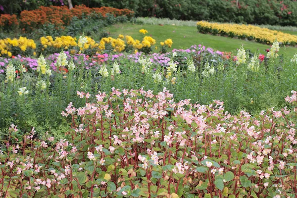 Květinové záhony v formální zahrady — Stock fotografie