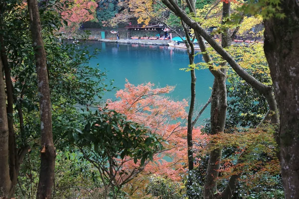 Syksyn lehdet Arashiyama — kuvapankkivalokuva