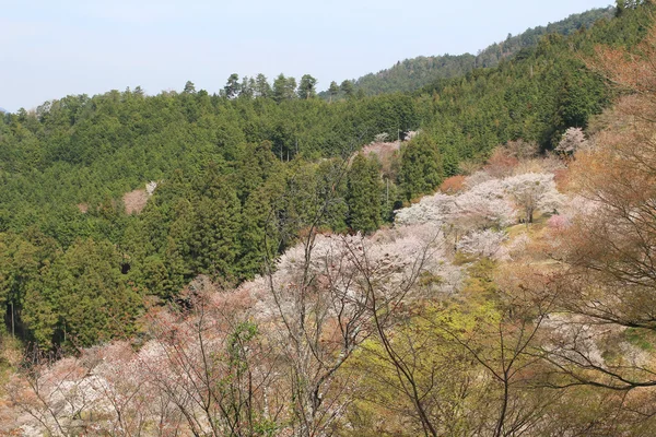 Yoshino Mikumari heiligdom, Yoshinoyama, Nara, — Stockfoto