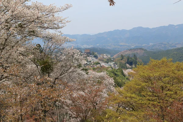 Kuil Yoshino Mikumari, Yoshinoyama, Nara — Stok Foto