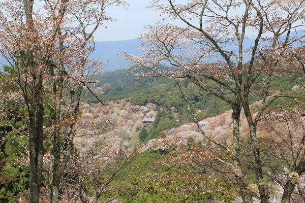 吉野水分神社の吉野山、奈良, — ストック写真