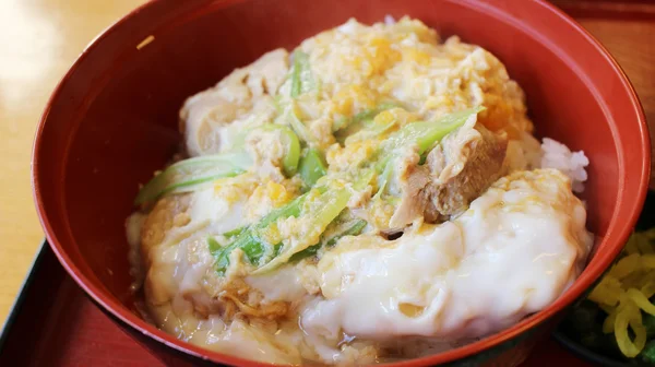 Τα ιαπωνικά τρόφιμα, το κοτόπουλο και το αυγό ρύζι — Φωτογραφία Αρχείου
