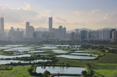Çin'in Shenzhen şehri hong kong görünümü