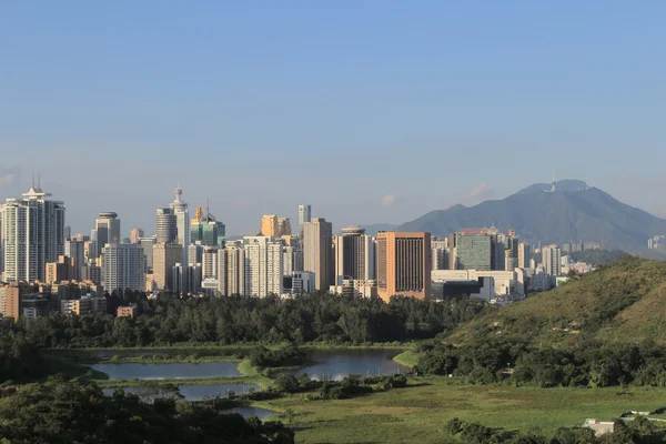 在新界东北部，Hong 香港马草垄 — 图库照片