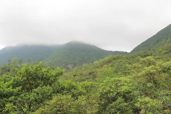 Mistige dag op Hong Pak land Trail — Stockfoto
