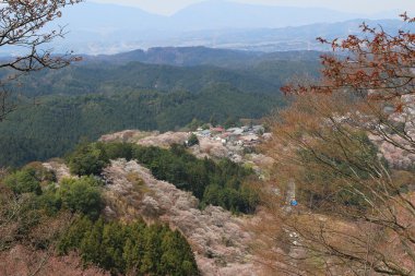 Yoshino Mikumari Tapınak, Yoshinoyama, Nara