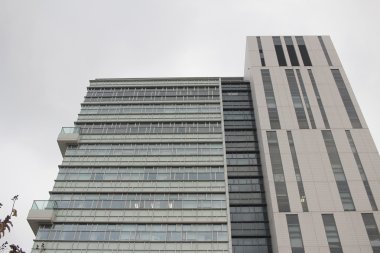 Şehir Üniversitesi, hong kong