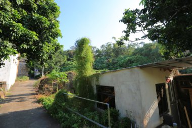 Hong Kong Pak Kok Tsuen, Lamma Adası