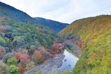 Arashiyama sonbahar yaprakları