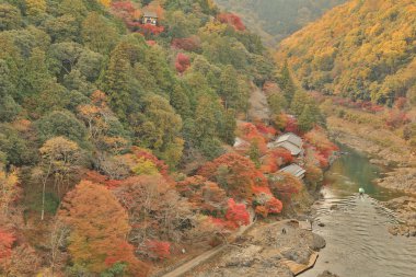 Arashiyama sonbahar yaprakları