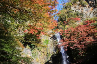 Minoh şelale Güz, Osaka, Japonya