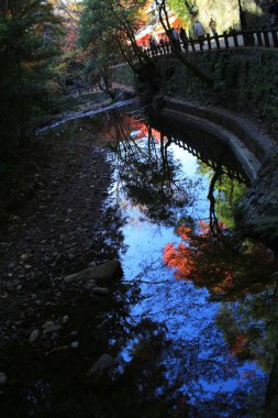 Minoh şelale Güz, Osaka, Japonya