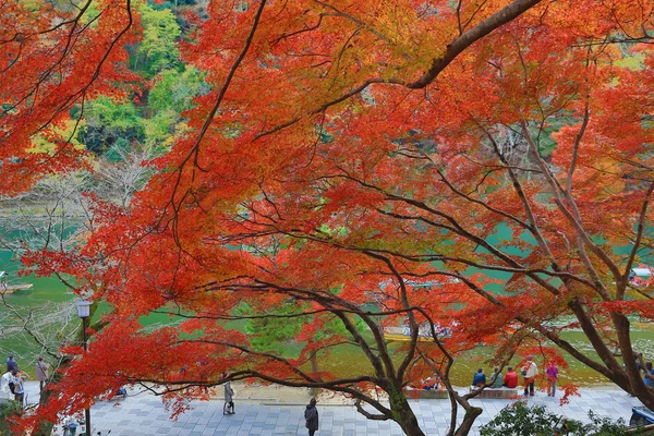 Feuilles d'automne d'Arashiyama — Photo