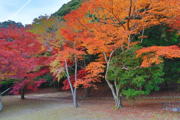 Jardim Tenryuji Sogenchi Património Mundial da UNESCO em Quioto — Fotografia de Stock