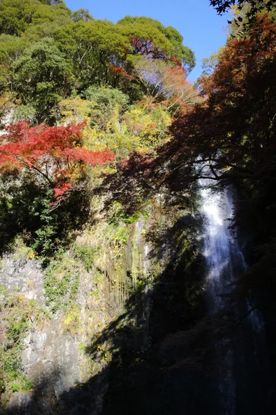 Minoh waterval in het najaar, Osaka, Japan — Stockfoto