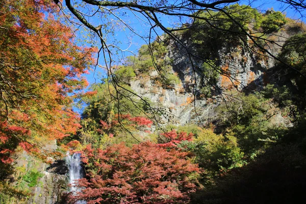 Minoh şelale Güz, Osaka, Japonya