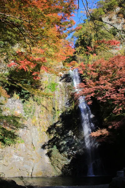 Een waterval met Japanse Esdoorns in Osaka. — Stockfoto