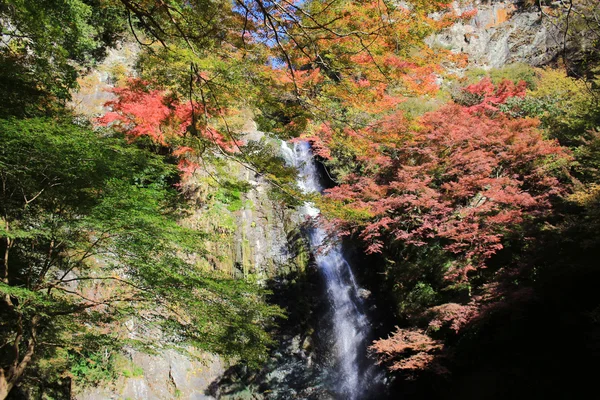 Водопад Мино осенью, Осака, Япония — стоковое фото