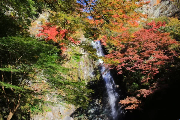 Minoh-Wasserfall im Herbst, osaka, japan — Stockfoto