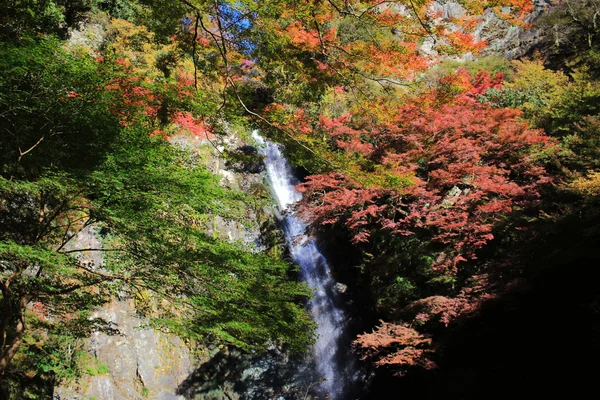 Водопад с японскими кленами в Осаке . — стоковое фото