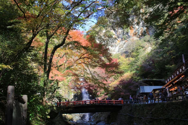 在日本大阪举行的秋季箕尾瀑布. — 图库照片