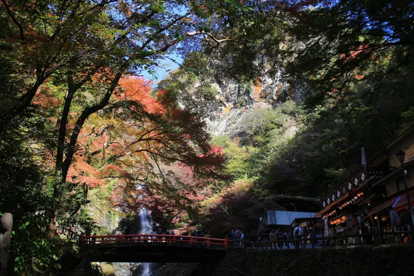 Minoo jesień wodospad w Osaka, Japonia. — Zdjęcie stockowe