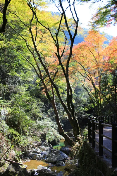 Осенний водопад Миноо в Осаке, Япония . — стоковое фото