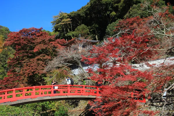 Minoo Takianji outono em Osaka, Japão . — Fotografia de Stock