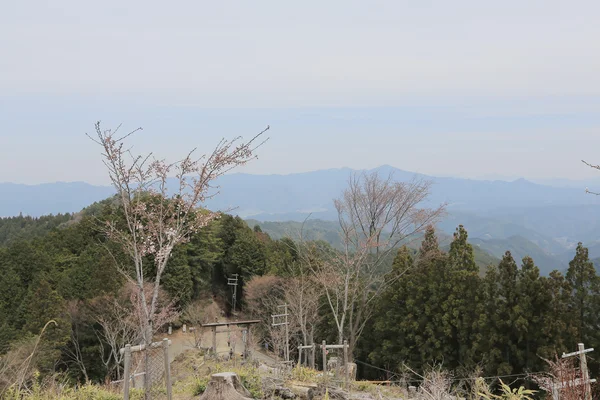 Yoshinoyama, Nara, Japan — Stockfoto