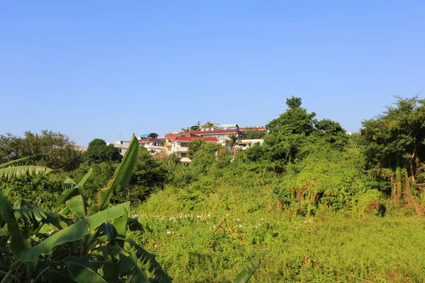 Pak Kok Tsuen, ilha Lamma Hong Kong — Fotografia de Stock