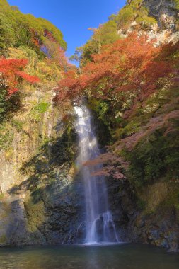 Minoh şelale Güz, Osaka, Japonya