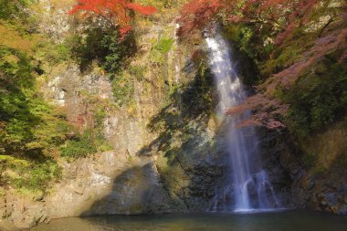 Minoh şelale Güz, Osaka, Japonya