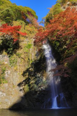Minoh şelale Güz, Osaka, Japonya